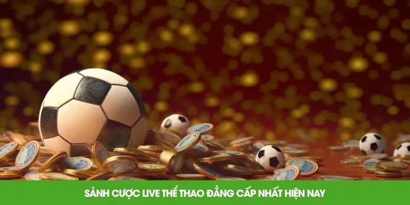 Sảnh cược live thể thao đẳng cấp nhất hiện nay