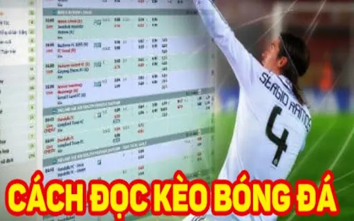 Cách đọc kèo bóng đá cho người mới bắt đầu