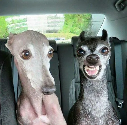 Hình profile chung mang vintage cảm xúc thân thiết dịu dàng