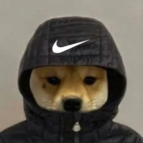 Avatar Shiba vô tri nhìn vô hồn nhưng lại rất có hồn