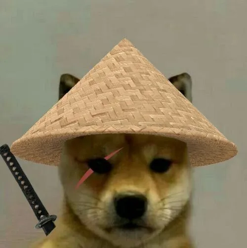 Ảnh profile chó vô tri cho ngày bạn chẳng muốn thể hiện cảm xúc