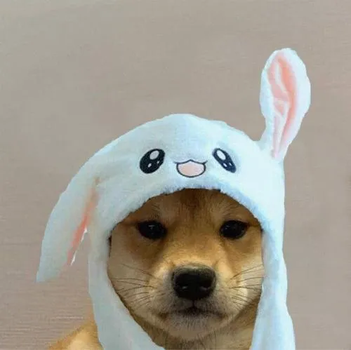 Ảnh đại diện chó trơ cảm xúc tai chó nền mờ