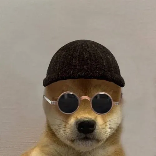 Ảnh avatar chó vô tri biểu cảm lạnh văn hóa meme