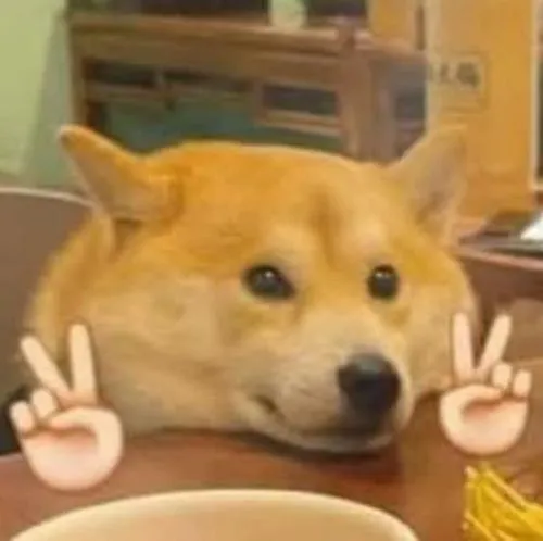 Hình đại diện chó hài hước màu nâu nhạt đơ người