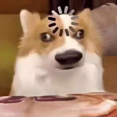 Hình đại diện chó tối giản khung hình vuông nhận diện cao