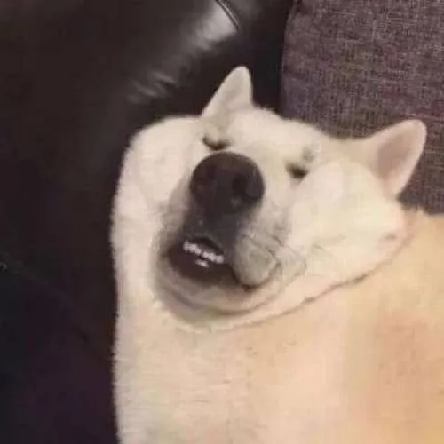 Avatar chó vô tri nhìn thì lạnh mà càng xem càng cuốn