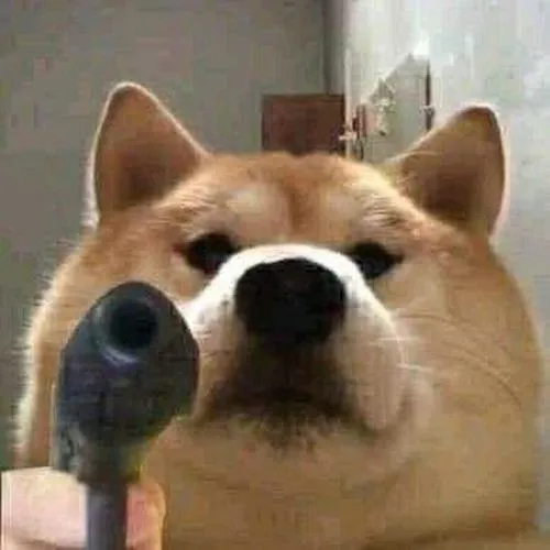 Ảnh đại diện chó vô tri nhìn một lần là nhớ mãi