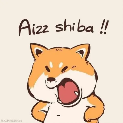 Ảnh đại diện chó ánh mắt vô cảm nền trơn dễ nhận diện