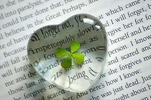 Hình profile cute cỏ bốn lá pastel mang điềm lành nhẹ nhàng