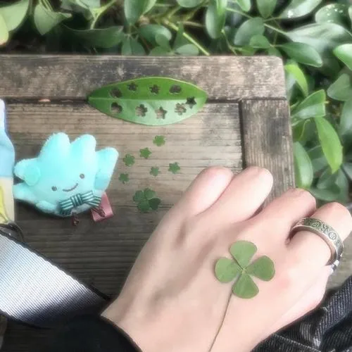 Ảnh đại diện cỏ bốn lá nghệ thuật lan tỏa may mắn an yên