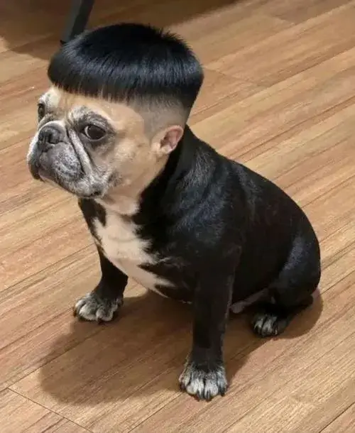 Avatar fb vô tri không cảm xúc nhưng lại khiến người khác chú ý