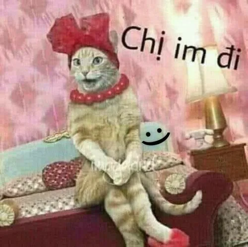 Ảnh profile cá nhân mang phong cách trầm ít tương tác