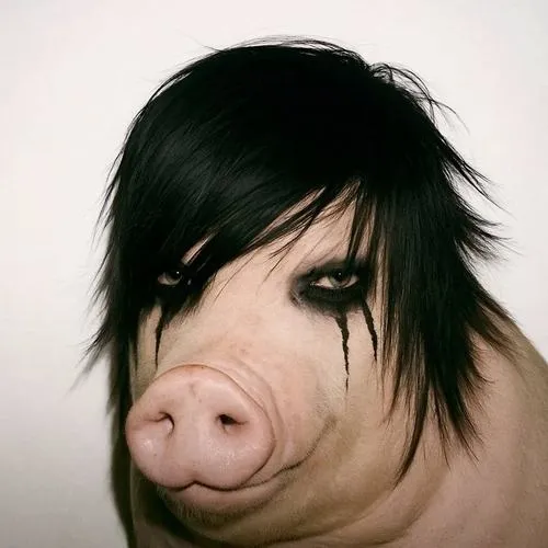 Hình đại diện trống rỗng nhấn ánh mắt và cảm xúc vô tri