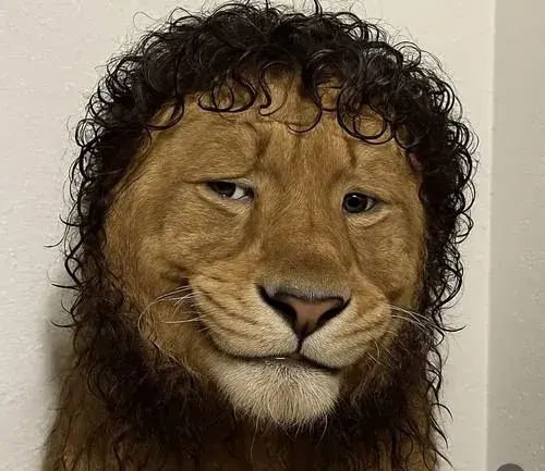 Avatar fb vô tri phù hợp với những ai thích sự yên tĩnh