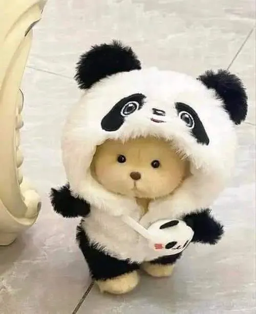 Chọn avatar gấu trúc bông khi bạn muốn hình ảnh hiền và dễ gần