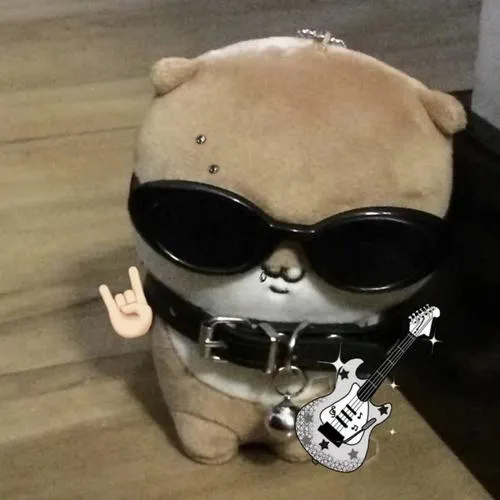 Ảnh cá nhân gấu bông đeo kính nền trơn pastel cảm xúc vui