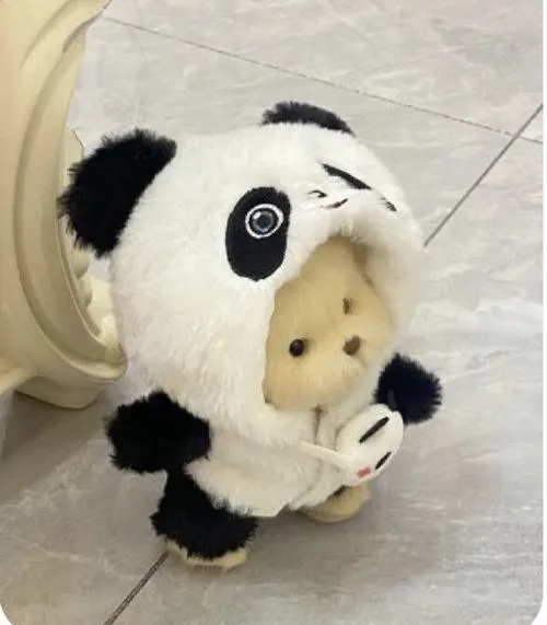 Ảnh profile gấu bông màu lông pastel dịu