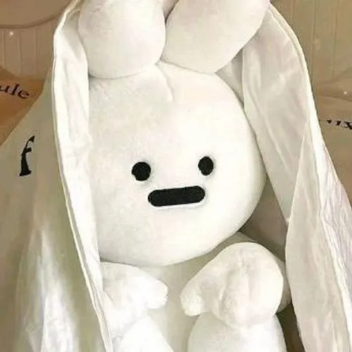 Hình đại diện ngầu gấu bông bố cục chính diện tròn