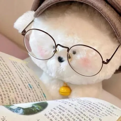 Ảnh đại diện gấu bông vô tri giúp trang cá nhân bớt căng thẳng