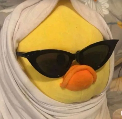 Avatar thú cưng gấu bông phù hợp mạng xã hội dễ mến