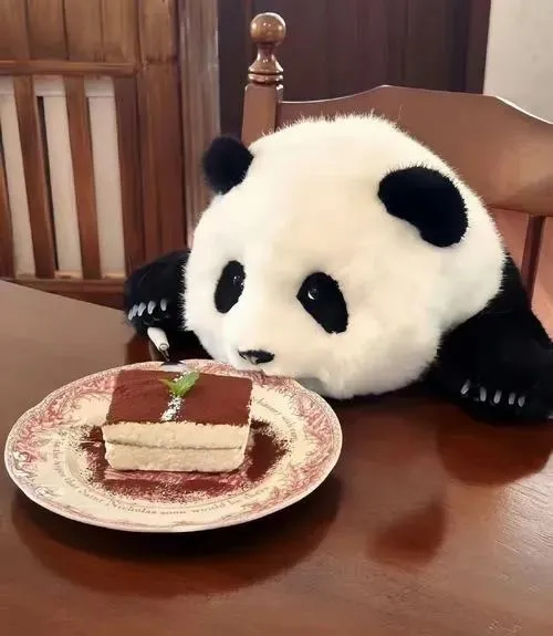 Hình avatar cute Panda cartoon nền trơn phong cách hoạt hình