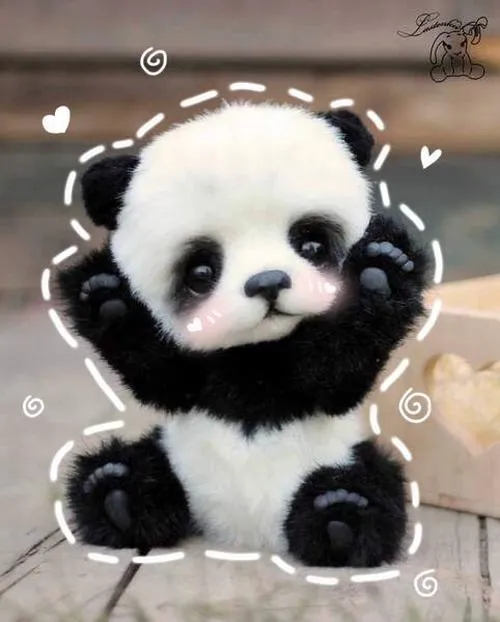 Hình profile cute gấu trúc chibi đầu to thân nhỏ ngộ nghĩnh