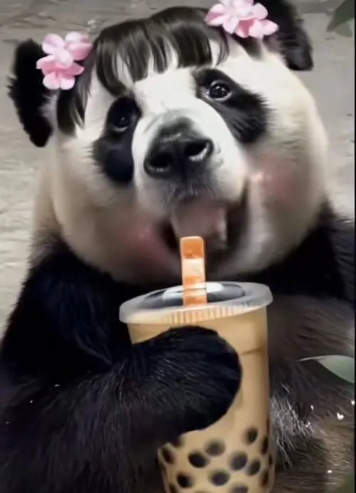 Ảnh đại diện gấu trúc xinh xắn biểu cảm khuôn mặt ánh sáng mềm