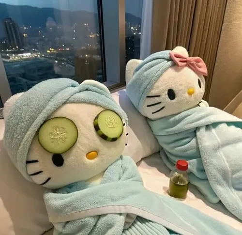 Ảnh profile Kitty pastel bố cục cận mặt phẳng cảm xúc