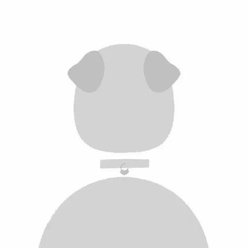 Avatar mặc định đơn giản nhưng ảnh hưởng trải nghiệm cá nhân