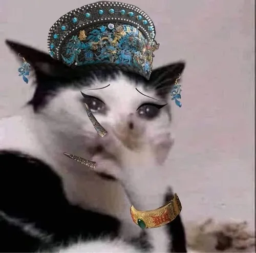 Meme mèo biểu cảm im lặng gây cười