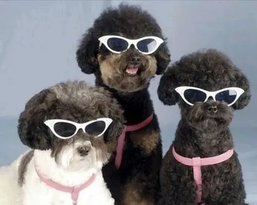 Avatar vô tri ba người tư thế ngồi cạnh không diễn sâu.