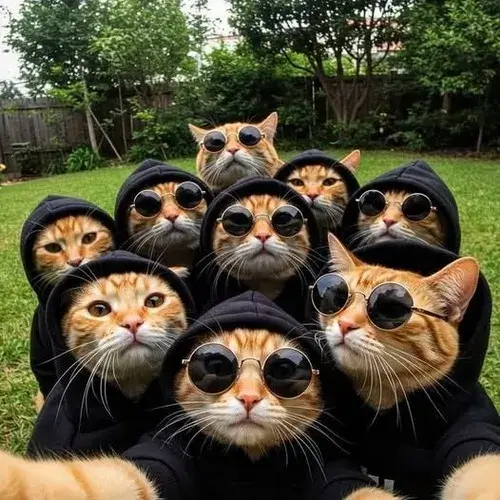 Ảnh profile ảnh đồng phục nhóm nhấn trang phục liên kết concept.