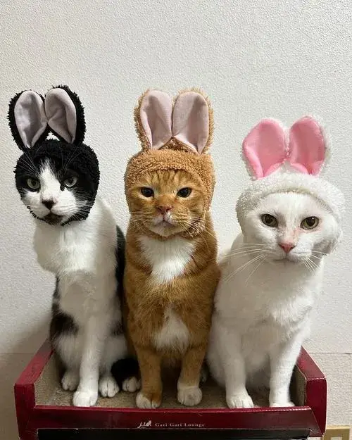 Ảnh profile nhóm cộng đồng mang cảm xúc thân thiện.