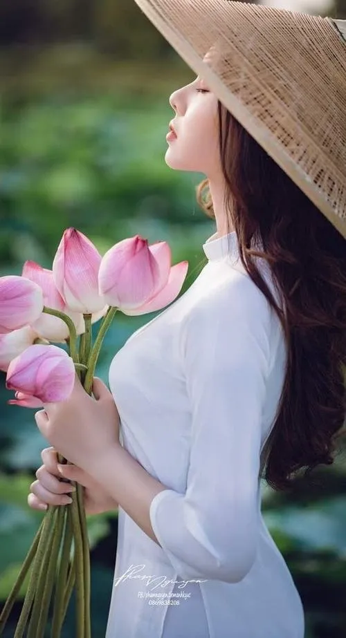 Ảnh chụp hoa sen nghệ thuật mang hơi thở truyền thống và hiện đại