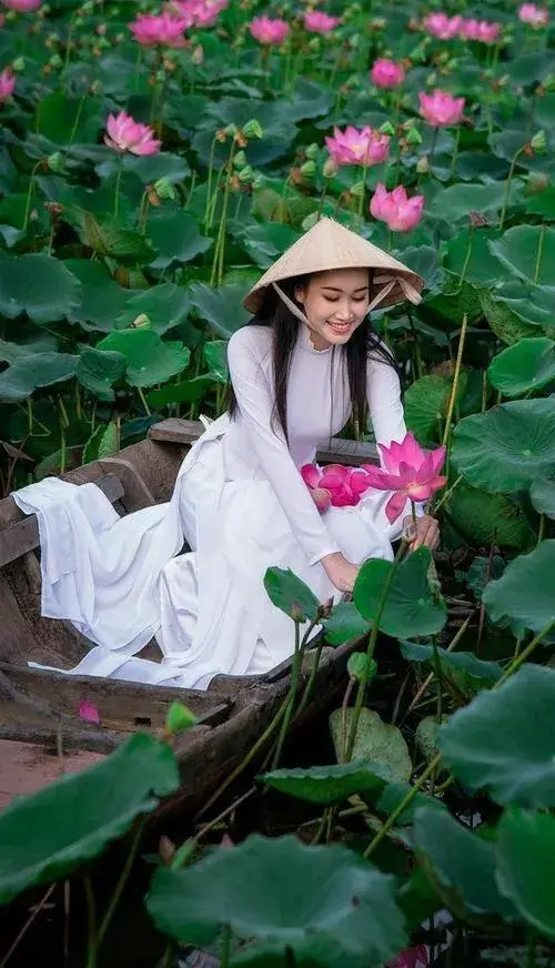 Hình nụ sen e ấp dưới ánh tán xạ mang cảm giác thanh tịnh.