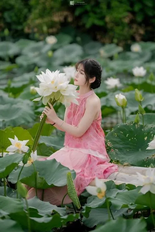 Ảnh hoa sen nghệ thuật nhấn tông màu trầm lắng.