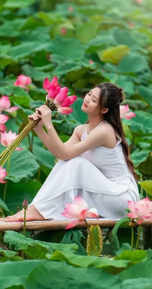 Ảnh hoa sen với lá sen và đài sen cân đối khung hình.