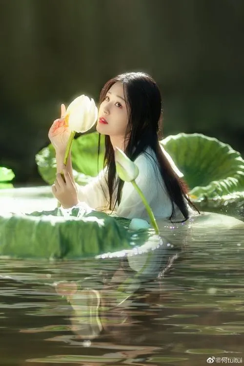 Ảnh hoa sen phong cách tối giản rất tĩnh.