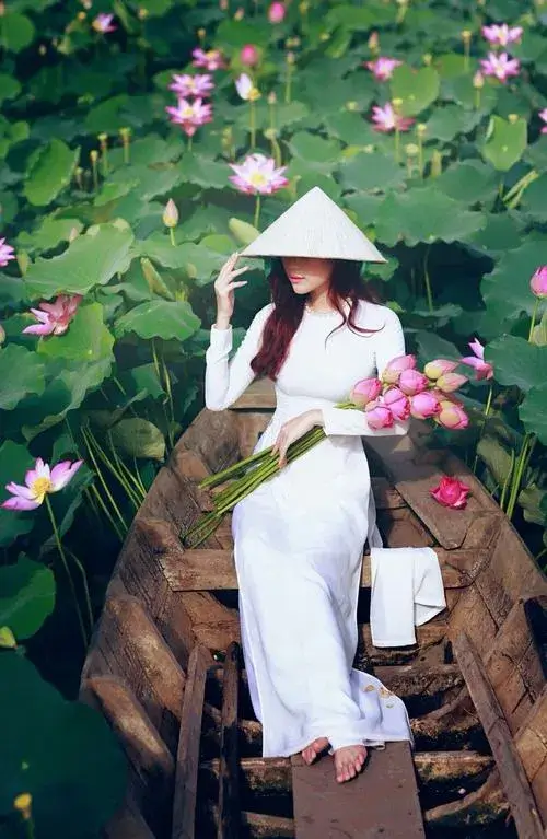 Ảnh sen hồng giữa nền nước tạo chiều sâu tĩnh lặng.