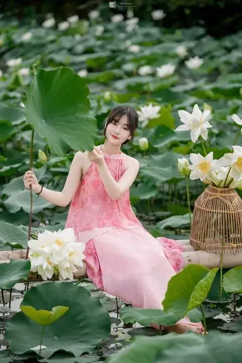 Ảnh hoa sen phong cách thiền mang cảm giác an yên.