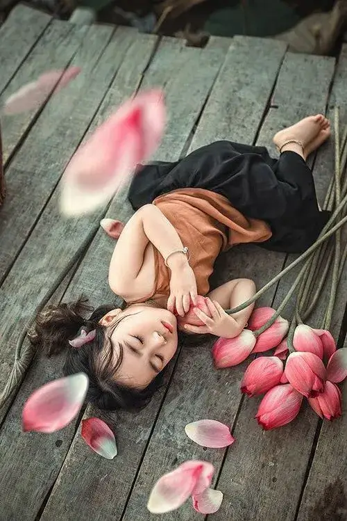 Ảnh sen đơn chụp góc chụp tôn dáng hoa nhẹ nhàng.