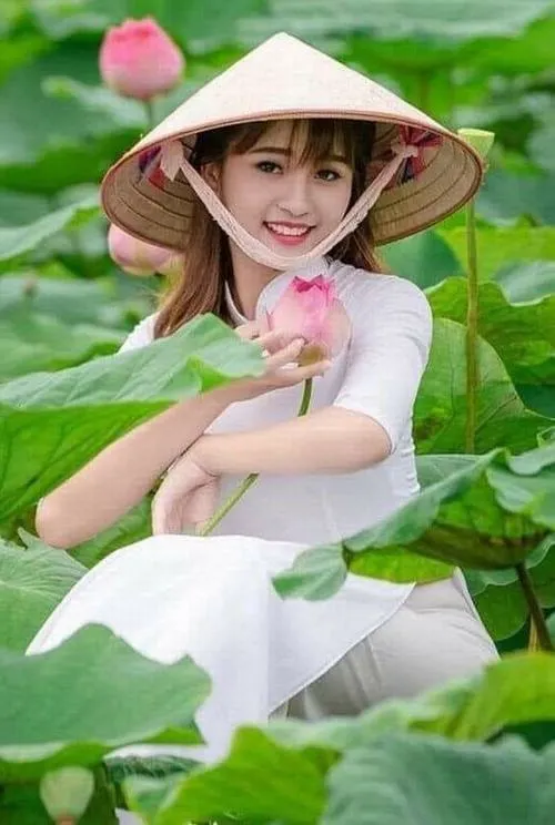 Ảnh hoa sen với bố cục tinh tế làm nổi bật vẻ đẹp thuần khiết