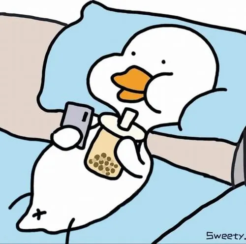 Ảnh cá nhân gấu đơ khuôn mặt tròn biểu cảm đứng hình