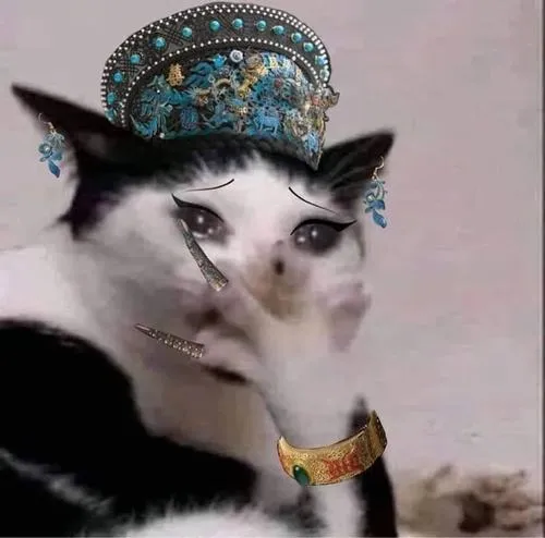 Ảnh profile capybara meme với bất cần đời chill phớt