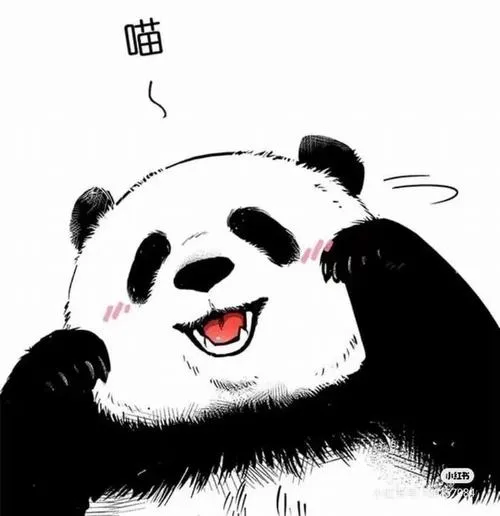 Hình profile cute không cần chỉnh sửa cầu kỳ vẫn hài hước