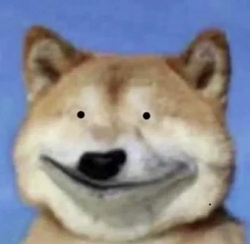 Hình profile ngố phụ kiện lạc quẻ nền trống vui mắt