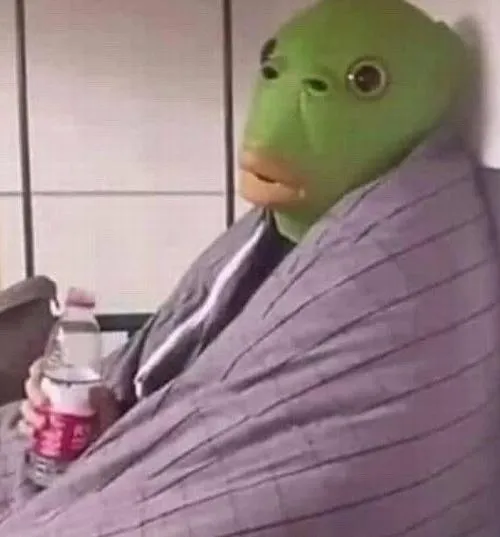 Hình đại diện vô tri ngơ ngác khung ảnh vuông dễ viral