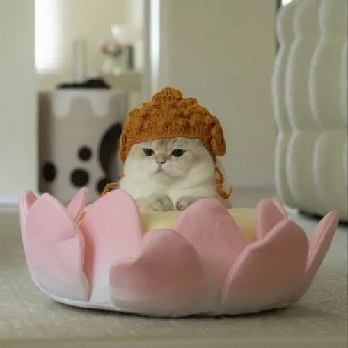 Ảnh avatar mèo với biểu cảm trống rỗng tạo cảm giác giải trí nhẹ nhàng