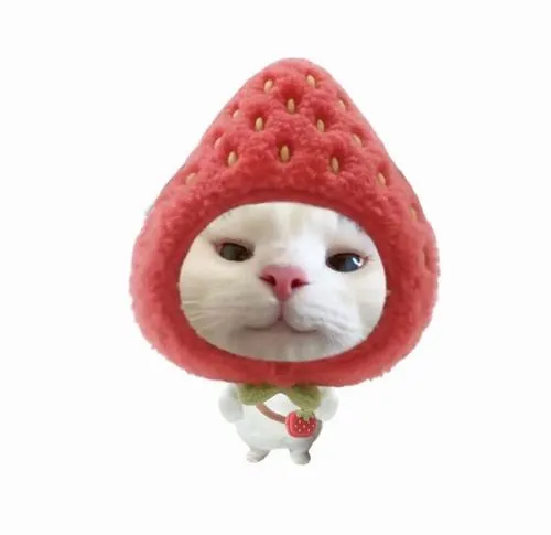 Avatar mèo vô tri và xu hướng sống chậm của giới trẻ hiện nay