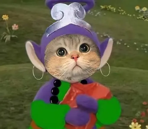 Hình đại diện ngầu mèo nổi bật ria mèo cùng bố cục lệch